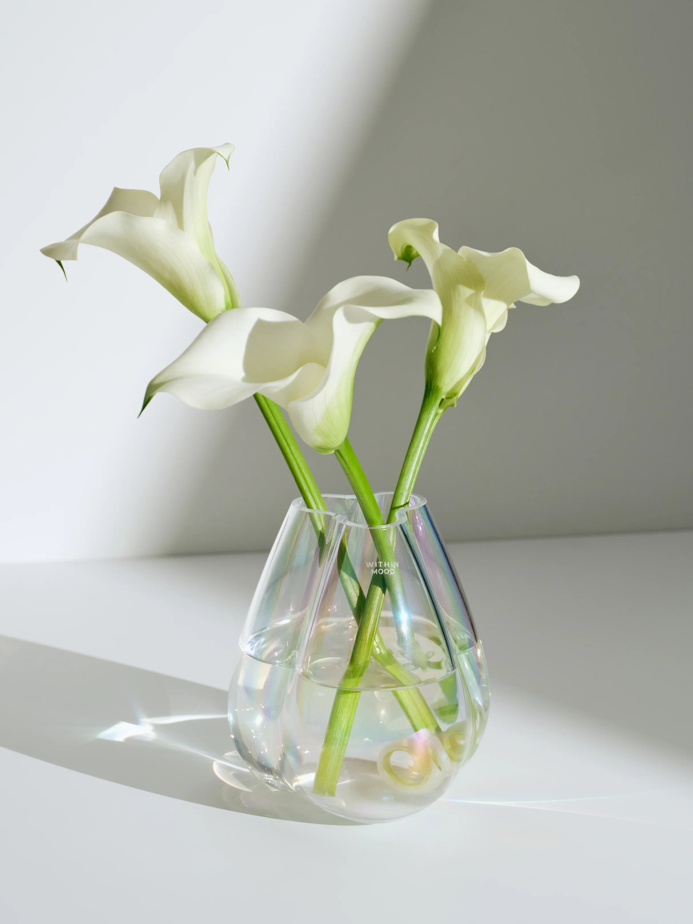 19.04. - Mini Tulip Vase Launch & Coffee Series Restock